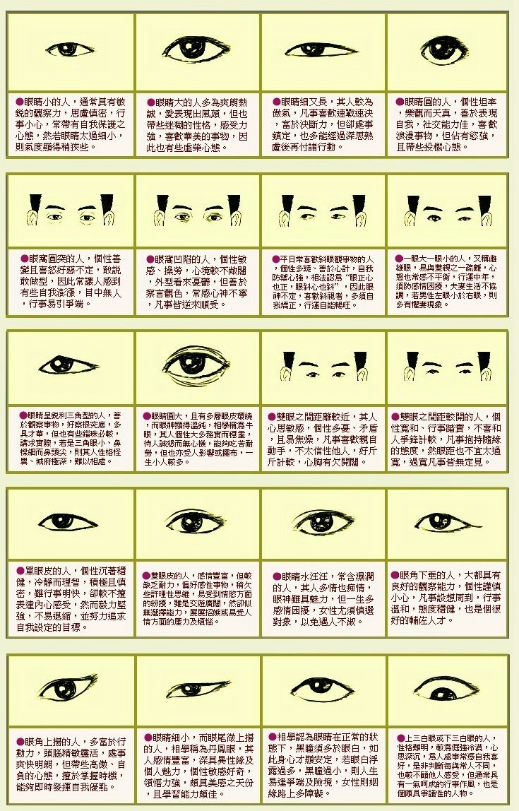 眼形分类图解图片